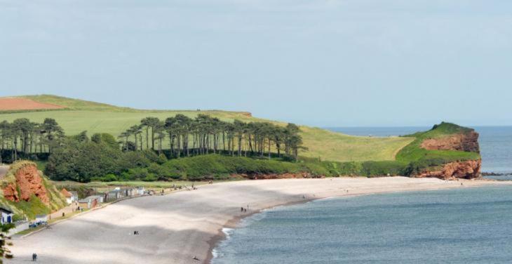 The Lawns B & B Budleigh Salterton Zewnętrze zdjęcie