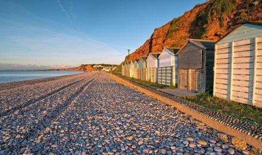 The Lawns B & B Budleigh Salterton Zewnętrze zdjęcie